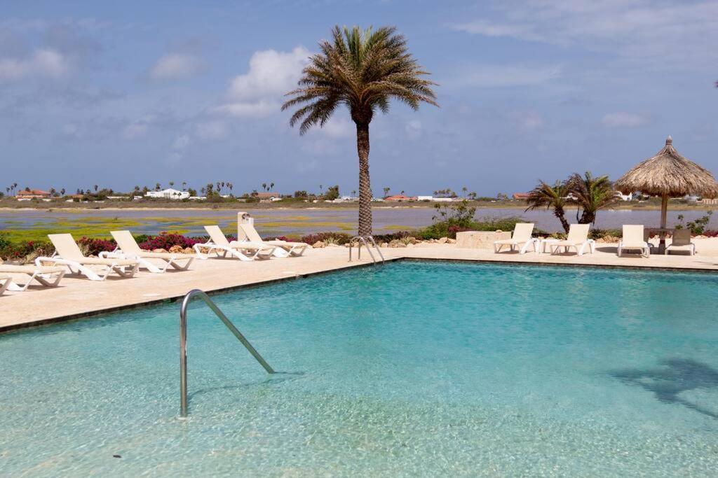 New! Cozy 1 Bedroom Condo- Gold Coast, Noord Aruba Palm Beach Exterior foto